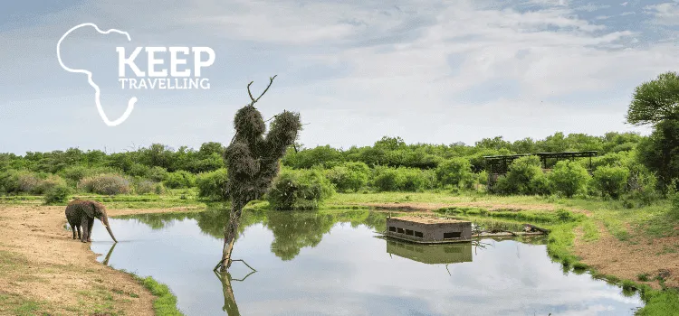 Nature landscape showing an elephant by a reflective pond with lush greenery and a small structure on the water